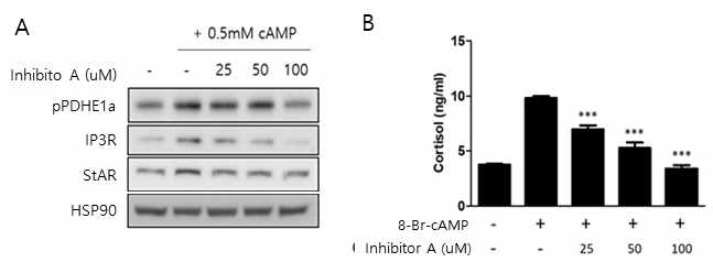 Inhibitor A 에 의한 cortisol 분비 억제 효과