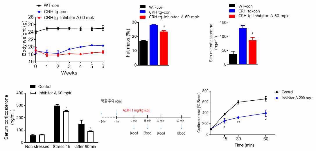 동물모델에서 Inhibitor A의 스테로이드 분비 조절 효과 확인