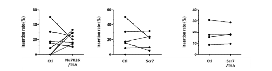 NHEJ inhibitor와 HDR activator 조합에 의한 insertion rate 분석