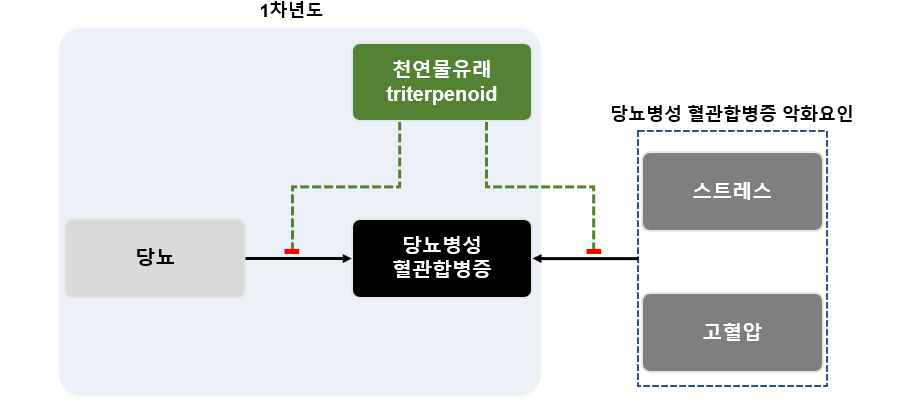 1차 연도 연구 수행 내용