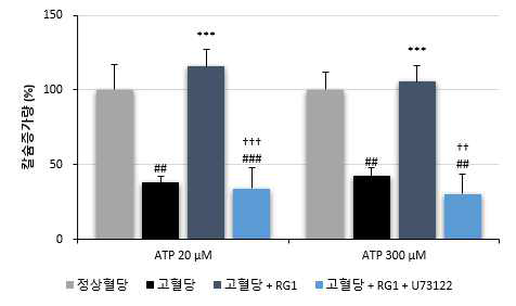 세포 외부에 칼슘이 있는 조건