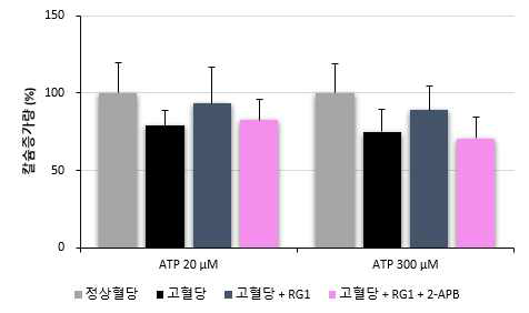 세포 외부에 칼슘이 없는 조건