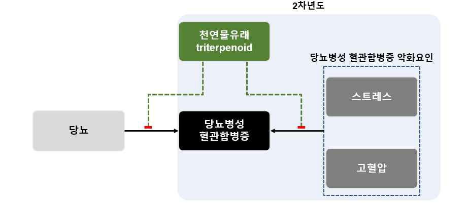 2차 연도 연구 수행내용