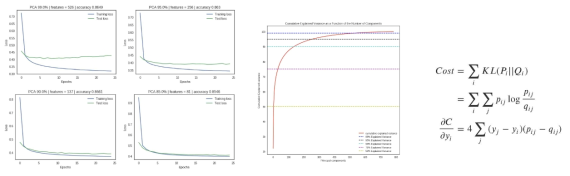 차원 축소(dimensionality reduction) 방법인 주성분분석(PCA) 적용과 t분포 확률적 임베딩 방법(t-SNE)에 적용된 손실함수 정의