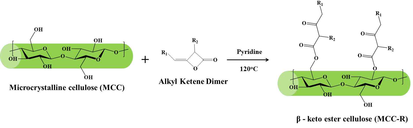 β-keto ester cellulose 반응 scheme.