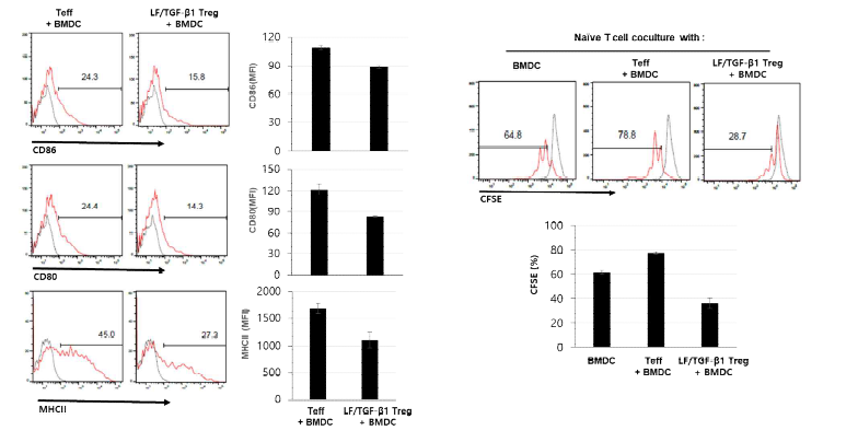 LF/TGFb에 의해 유도된 Treg이 면역관용수지상세포의 분화에 미치는 영향