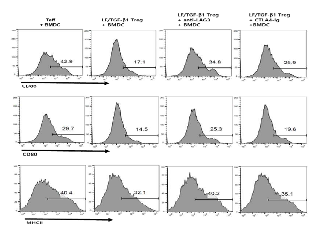 Treg의 면역관용수지상세포 분화 유도 대한 CTLA-4와 LAG3의 관련성 조사