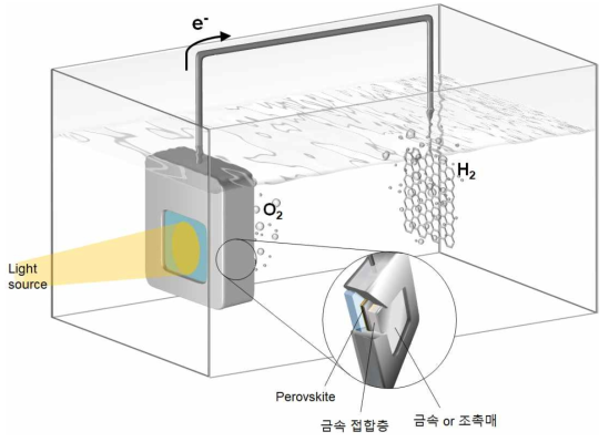 물의 광분해를 위한 페로브스카이트 광 전기화학 소자의 모식도