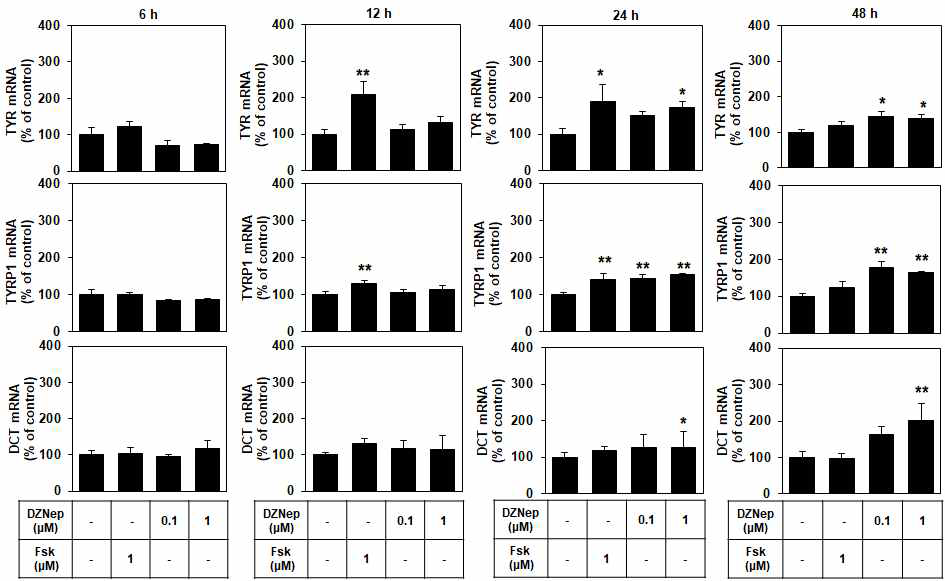 Effects of DZNep on the expression levels of mRNA of tyrosinase (TYR), tyrosinase-related protein 1 (TYRP1) and dopachrome tautomerase (DCT) in B16-F10 cells.