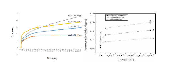 SPR responses of E. coli