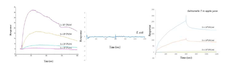 SPR responses of Salmonella and control (E. coli)