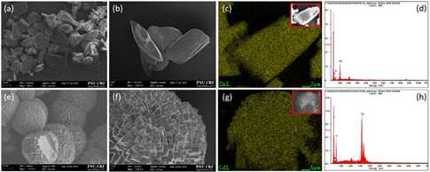SEM images and EDS analysis of PNU–21 (a–d) and PNU–22 (e–h).