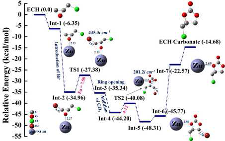 Relative free energy diagram of the PNU–21/TBAB-catalyzed cycloaddition of ECH and CO2.