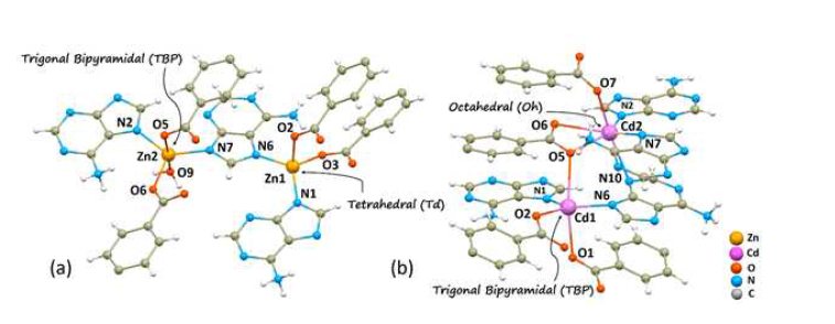 Coordination environment in (a) PNU-21 and (b) PNU-22.