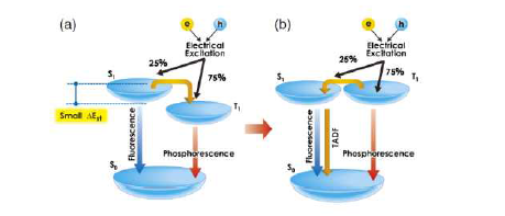 1중항과 3중항의 생성과정 : 제 3세대 유기반도체의 TADF (a) 형광에서의 인광으로의 여기상태 전환 (b) TADF 물질, 3중항과 1중항의 에너지 갭의 감소로 삼중항에서 일중항으로 전환에 의한 일중항에서 고효율 EL