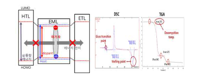 여기자 속박 구조와 [그림 15.] DSC를 통한 Tg, Mp 측정(좌), TGA를 통한 Td 측정(우).