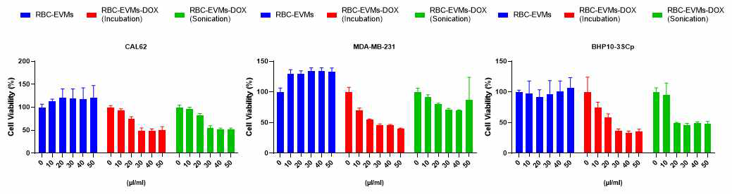 화합물 탑재 RBC-EVMs의 세포사멸능 평가