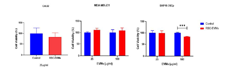 여러 암세포주 내 RBC-EVMs의 세포독성 평가