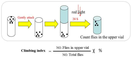 Climbing behaviour assay methods of cultured flies