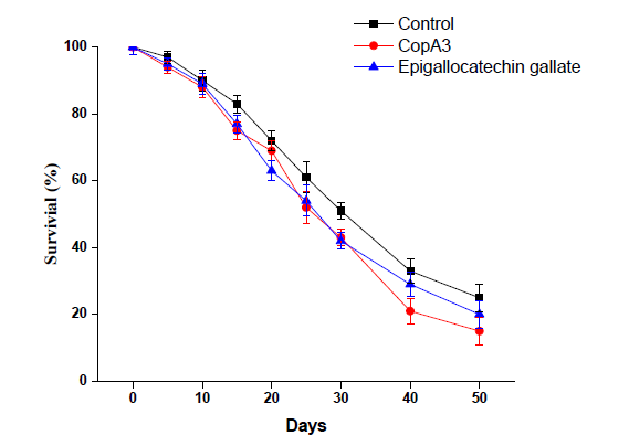 Survival rate drosophila flies with or without treatment