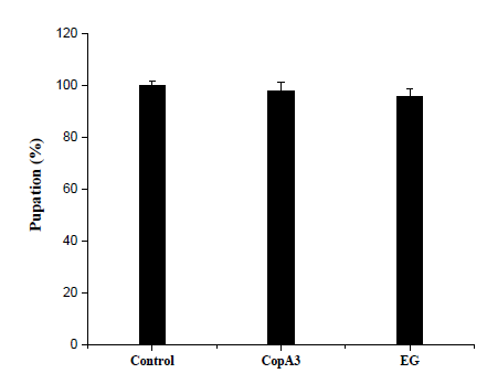 Pupation rate of drosophila flies with or without treatment