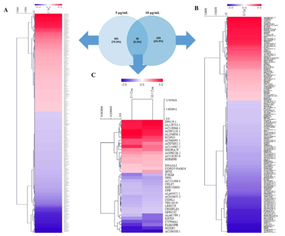 HeatMap analysis of DEGs associated with transcriptional common up and down regulation of following treatment with or without CopA3. (D) The heat map analysis of DEG with treatment of 5 μg/mL (E) The heat map analysis of DEG with treatment of 10 μg/mL (F) The heat map analysis of commonly expressed DEG with the both concentration 5 μg/mL and 10 μg/mL. (Log2(FC)|>=1.0, P_Value<=0.05)