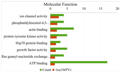 Gene ontology analysis of up and down-regulated genes expression based on differentially expressed genes (DEG) by the treatment of CopA3 towards MDA-MB-231. The analysis GO based on DEG by the treatment of CopA3; (1) Biological process; (2) Cellular component; (3) Molecular function