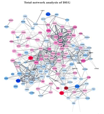 Network signaling analysis of DEG genes by the treatment of CopA3; (1) Network analysis of both up and down-regulated totally expressed analysis of DEG by the treatment of CopA3 (2) Network analysis of PI3K-AKT signaling pathway of based DEG expression with treatment of CopA3 (3) Extra cellular matrix receptor interaction by network analysis based DEG expression with treatment of CopA3