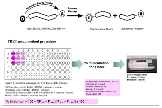 The schematic diagram of Fluorescence Resonance Energy Transfer-based (FRET) Enzyme Assay