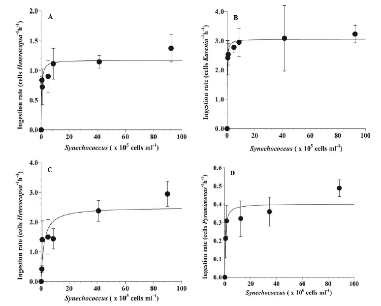 원생생물 플랑크톤이 광합성 세균 Synechococcus sp.을 포식할 때의 섭식율 그래프. (A) Heterocapsa niei, (B) Karenia mikimotoi, (C) Tripos furca, (D) Pyramimonas sp.