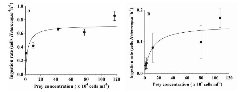 혼합영양 생물 Heterocapsa rotundata가 광합성 세균 Synechococcus sp.를 섭식할 때의 비타민 조건에 따른 섭식율 그래프. (A) 비타민 B 충분, (B) 비타민 B 결핍