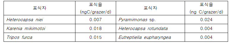 광영양 원생생물이 광영양 세균을 섭식할 때의 포식율