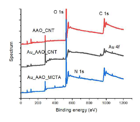 AAO에서 합성된 CNT와 MCTA로 생화학적으로 활성화된 CNT의 XPS 스펙트럼