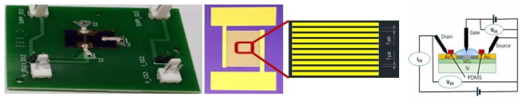 PCB 에 제작한 FET 와 mask lithography법으로 제작한 일정한 간격의 금전극 및 FET 측정 회로의 계략도