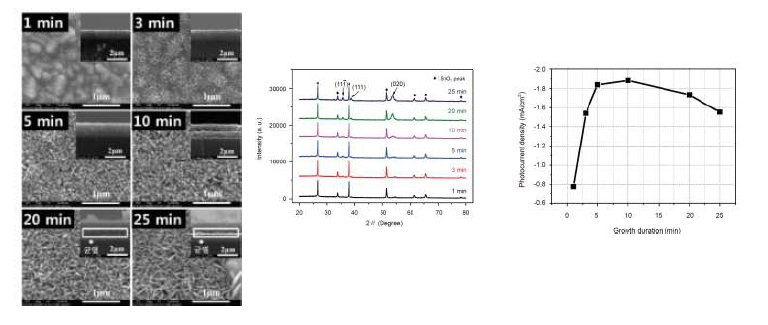 성장시간에 따른 CuO 광전극의 SEM 이미지 사진과 XRD 데이터, 광전류 밀도 값 데이터.