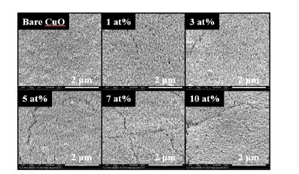 Zn 도핑 농도에 따른 Zn doped CuO 광전극의 SEM 이미지