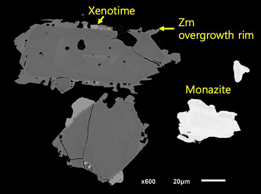 옥천대 화산재층에서 분리된 모나자이트와 저어콘의 BSE 영상. 저어콘의 외측에는 제노타임 과 2차적인 저어콘이 덧성장 한 것을 확인 할 수 있다. 모나자이트의 형태 역시 저어콘의 형태와 매 우 유사하다.