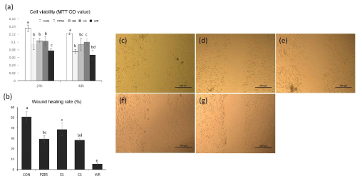 PZBS의 생체적합성 평가. (a) BMMSC의 세포생존율을 MTT 분석법으로 평가한 결과. 타사의 바이오세라믹 실러와 대체적으로 유사한 값을 보임. (b-g) Scratch assay를 이용하여 cell migration을 평가한 것으로 PZBS는 비교적 양호한 결과를 보임. ES: EndosealTCS, CS: Ceraseal, WR: Well-Root