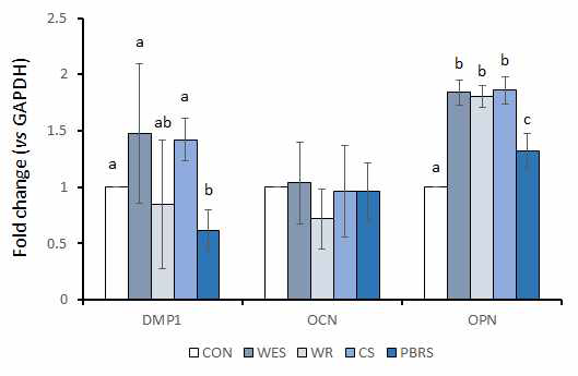 광화관련 유전자의 발현을 real-time PCR을 이용하여 평가. DMP1: dentin matrix protein 1, OCN: osteocalcin, OPN: osteopontin. Values followed by the same superscript are not significantly different