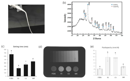 (a)개발된 근관충전재(PZBS)가 syringe에서 사출되는 모습. (b)충전재의 경화 후 포졸란 반응에 의해 최종산물인 C-S-H가 생성된 것을 XRD로 확인. (c)NPBS의 경화시간을 현재 시중에 판매되고 있는 제품들과 비교한 그래프. (d)방사선 불투과성 측정을 위해 알루미늄 스텝웨지와 함께 촬영한 사진. (e)PZBS의 방사선 불투과성을 타제품과 비교한 그래프. ES: EndosealTCS(마루치), CS: Ceraseal(메타바이오메드), WR: Well-Root(베리콤). Kim et al. Materials. 2021