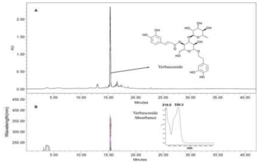 HPLC chromatogram and 2D contour of verbascoside in CTE. (A) HPLC chromatogram of CTE. (B) HPLC 2D contour of CTE. Verbascoside peak was identified from their retention time and ultraviolet spectra