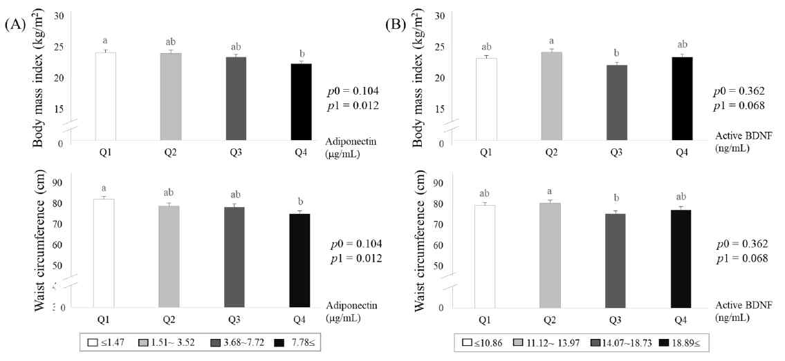 Adiposity estimated by BMI and waist circumference according to circulating levels of adiponectin (A) and mature-brain-derived neurotrophic factors (BDNF) (B). (J Clin Med 2020)