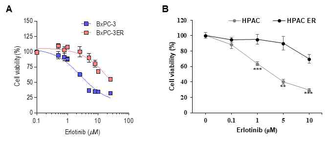 Construction of erlotinib-resistant cells