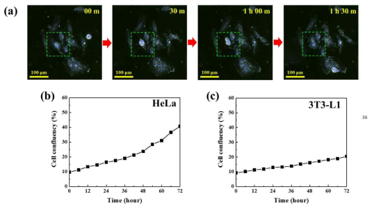 세포 분화 분석 소프트웨어를 이용하여 72 시간 동안 모니터링 수행 결과