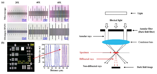 USAF 1951 resolution target을 이용한 200배율 확대 기술 검증(좌) 및 Dark field filter 적용 기술 개발 완료(우)