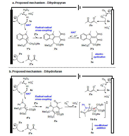 Proposed reaction mechanism.