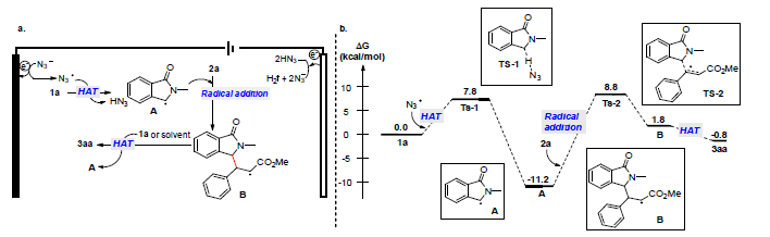 Proposed reaction mechanism with 2a.