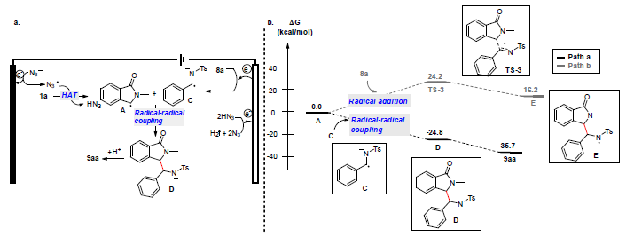 Proposed reaction mechanism with 2a.