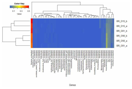 각 시료의 속(genus) 비율의 heatmap. 총 337 속 중 상위 50개만 제시하였고, Bray-Curtis 비유사성에 의한 dendrogram을 표시함