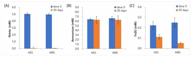 배양의 초기(time 0) 및 30일 배양 후(30 days) 시료에서 아질산염(A), 암모늄(B), 제일철(Fe2+, C)의 농도. AES: 호기적 배양 시료, ANS: 혐기적 배양 시료